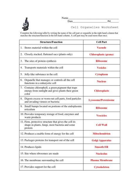 cell organelles worksheet answers pdf
